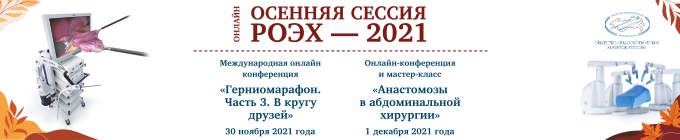 banner roeh novosib 2021